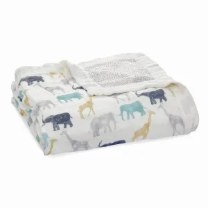 aden   anais Boutique Silky Soft Dream Blanket (Expedition)